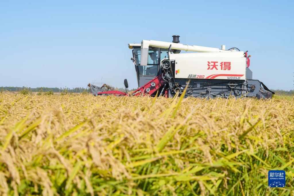 集结号官网